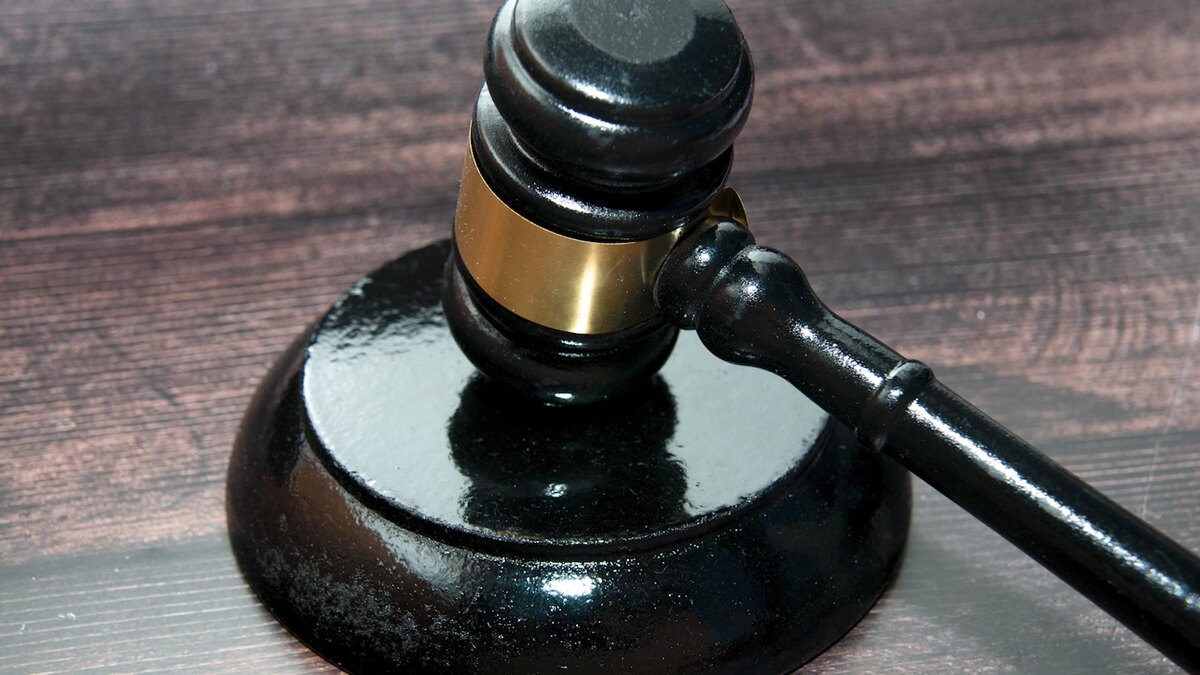    Фото: Svetlana Vozmilova/globallookpress.com