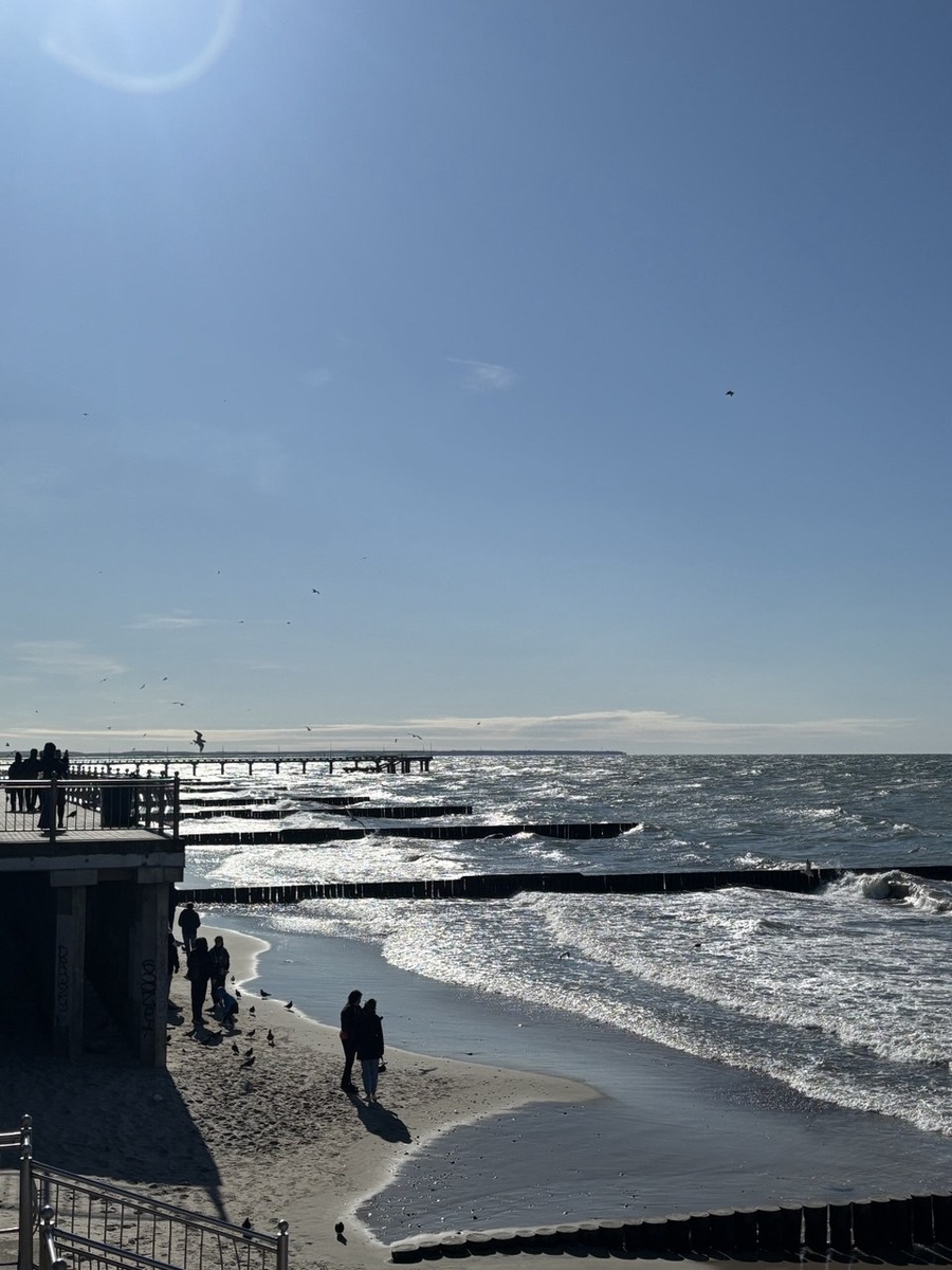 В этом году популярные туристические точки, такие как Зеленоградск и набережная, пользовались повышенным спросом ещё до начала сезона — "яблоку негде было упасть", чайке приземлиться, а уж что говорить про двух велосипедистов, особенно в выходные.