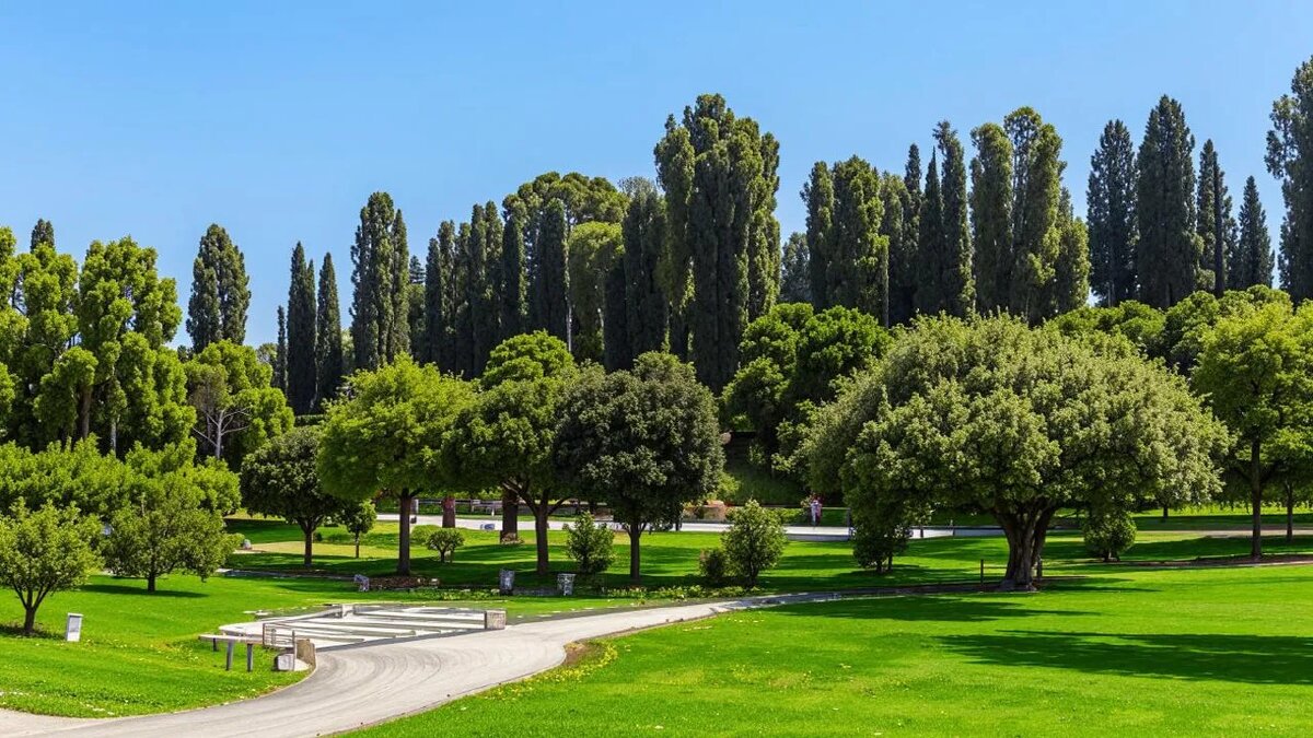    Сгенерировано ИИ