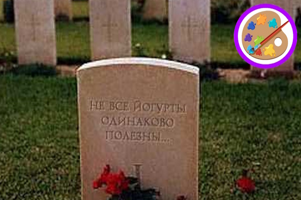 Коллаж из изображений Yandex и Pixabay