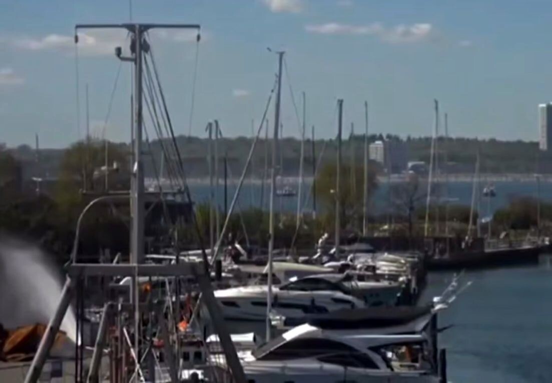     / Источник: Кадр из видео