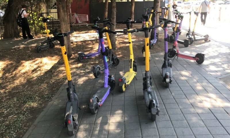    Фото «Кубань 24»