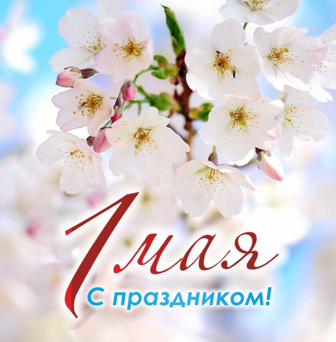 Картинка-поздравление из открытых источников 