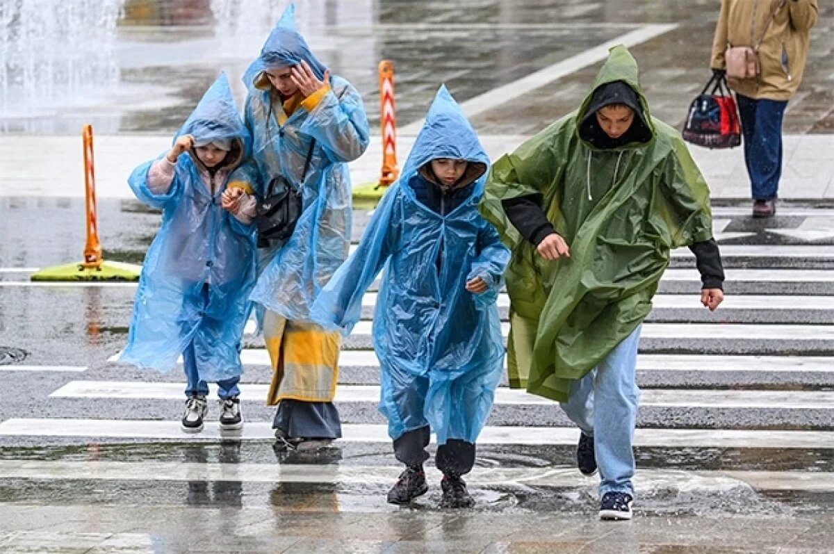    Погода на Первомай оставляет желать лучшего. Москва, 1 мая 2025 г.