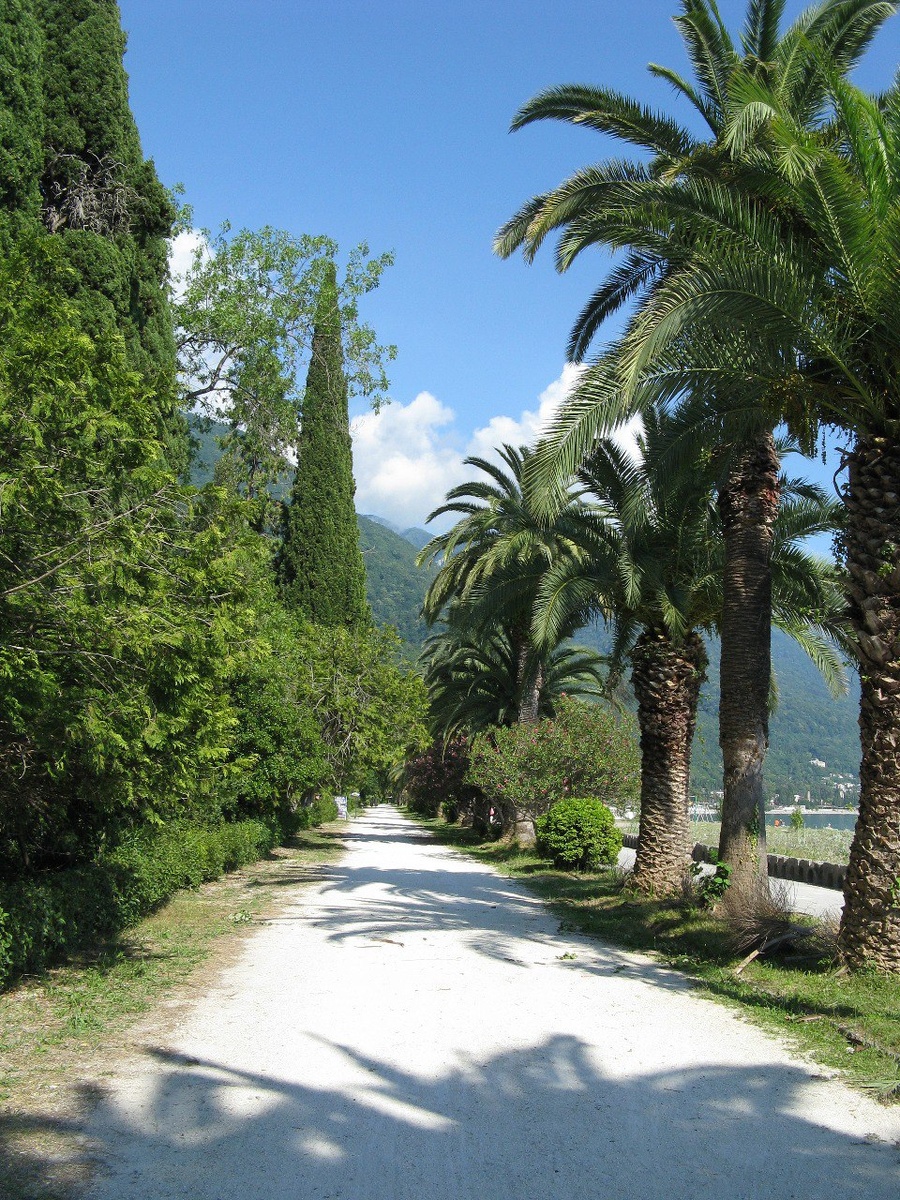 Приморский парк