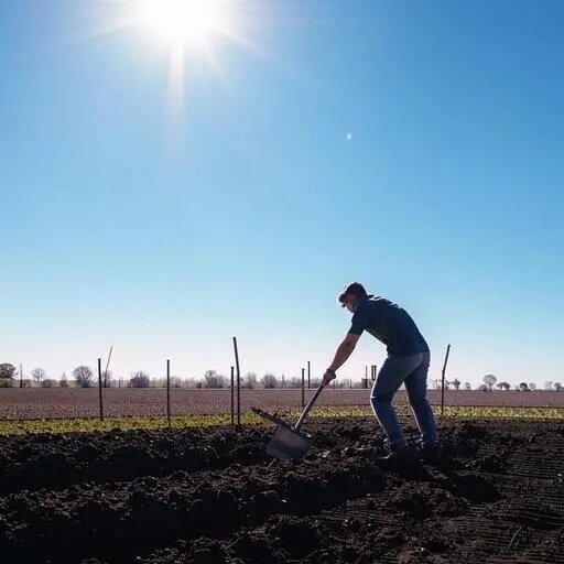   Участок в мае. Чем заняться на даче Мария Казённова