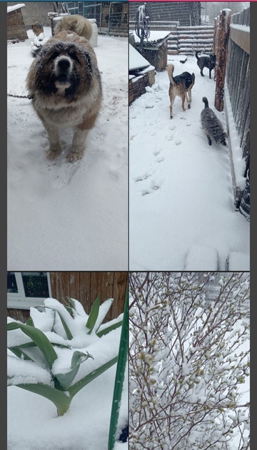 Личное фото