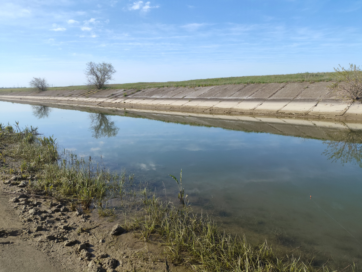 Пошли к островку из травы, там течение поменьше и какая-то рыбешка плещется
