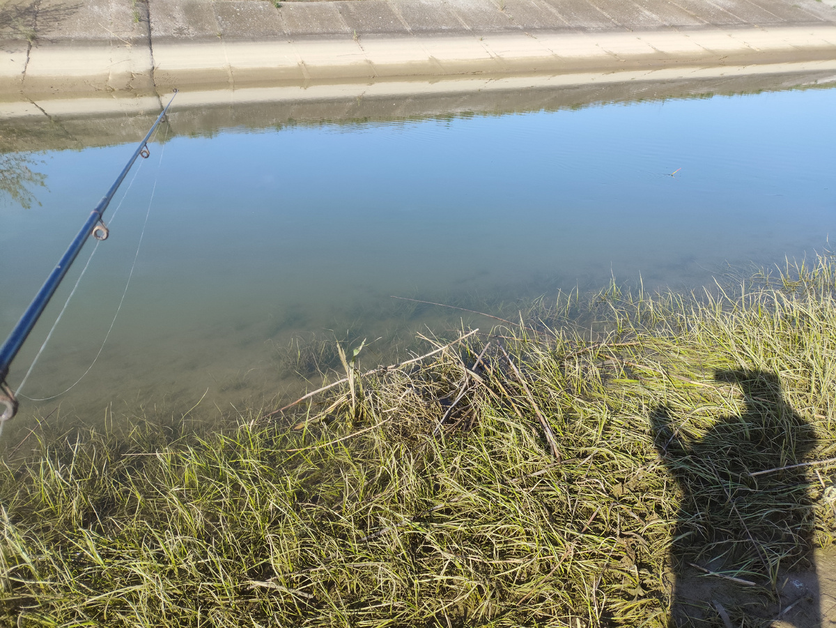 Правда течение сильное, поплавок часто перекидывать приходится