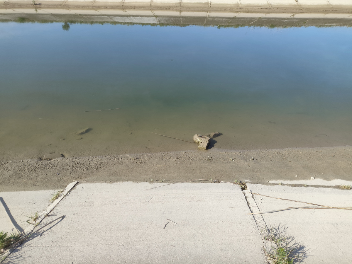 Камушек снова показался из воды, уровень отсутствует...