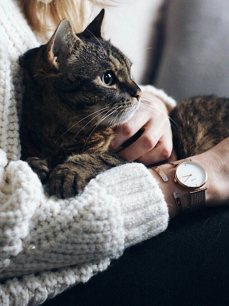 Фото из Интернета.