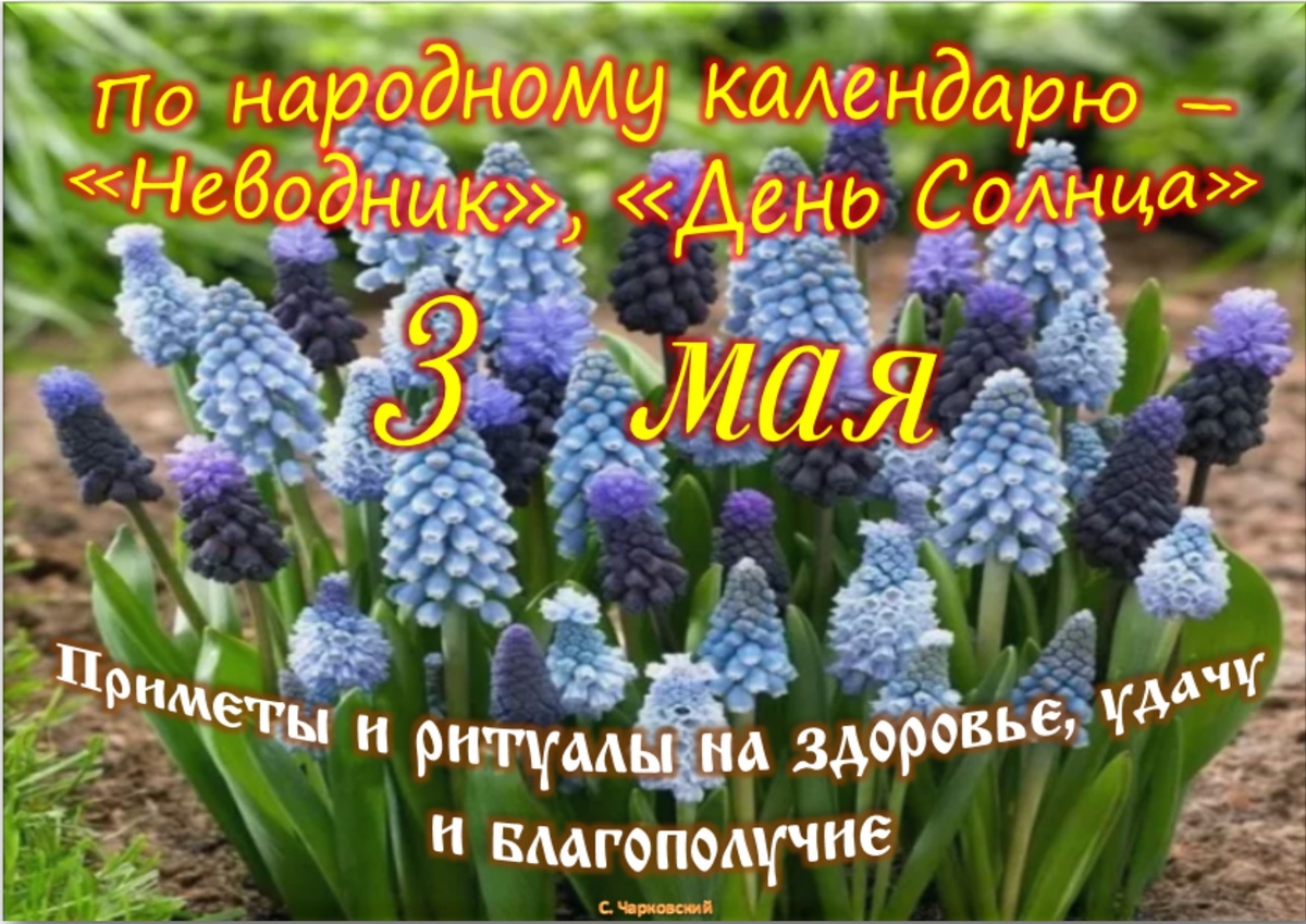 Встречаем новый день