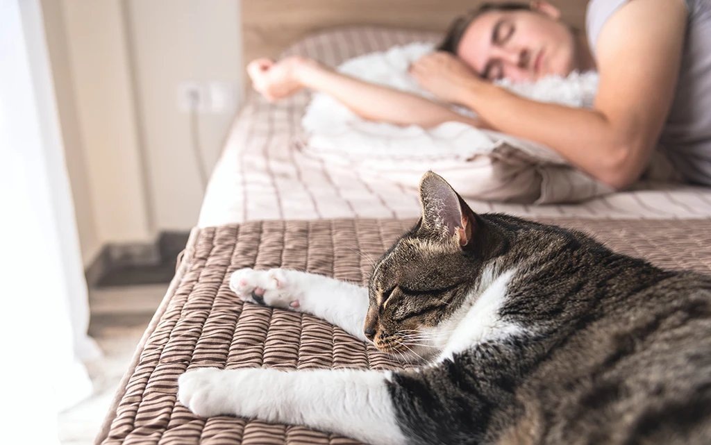 Источник Яндекс Картинки.