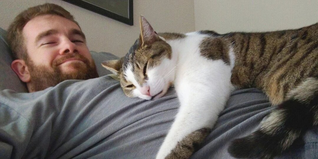 7 причин: Почему кошка спит с ним, а не с тобой? Да-да, у неё есть причины — и они не всегда приятные