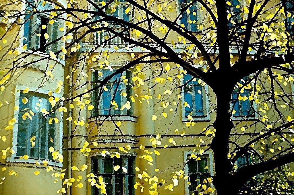 Осенний двор. Автор Евгений Шаповалов. Источник https://www.neizvestniy-geniy.ru/cat/photo/peyzaj/935556.html.