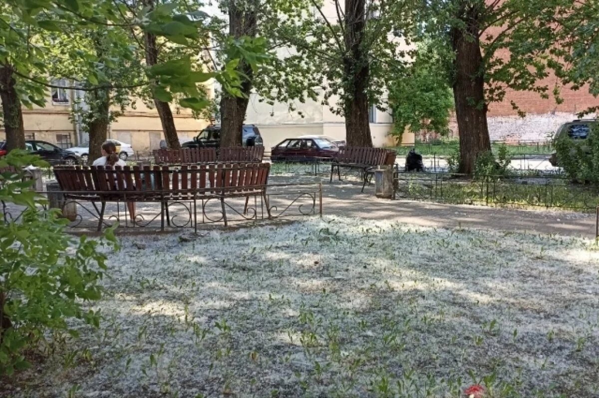    Тюменский терапевт дала советы, как не страдать от тополиного пуха