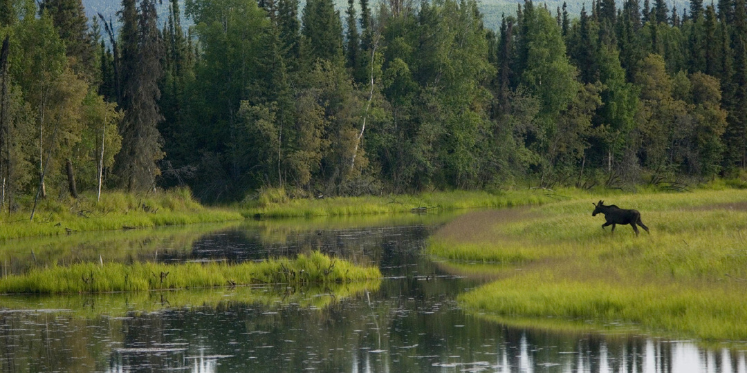 ВЫБРАЛИ,КУДА ЕДЕМ НА ПМЖ/ часть 4 (итог)