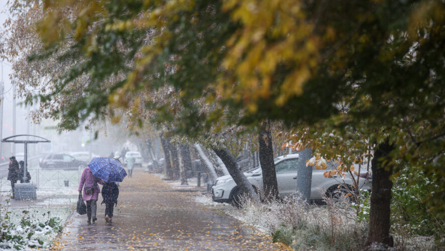    Фото: KazanFirst