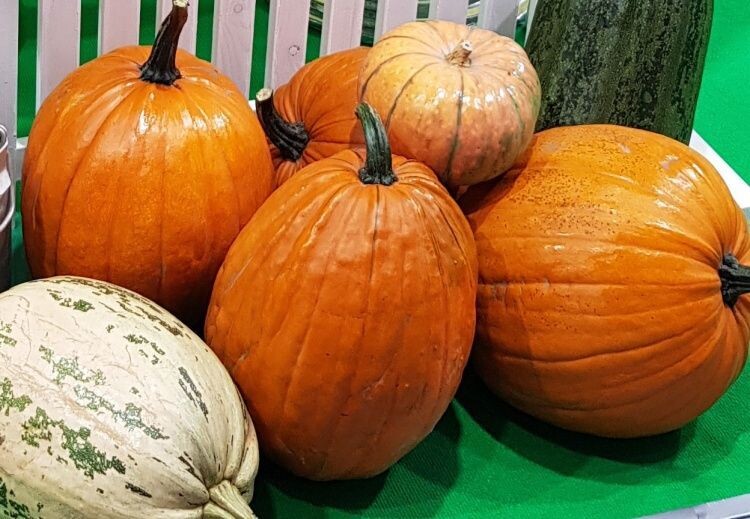 Как я избавилась от изжоги: питание, полезные привычки и продукты, которые реально работают