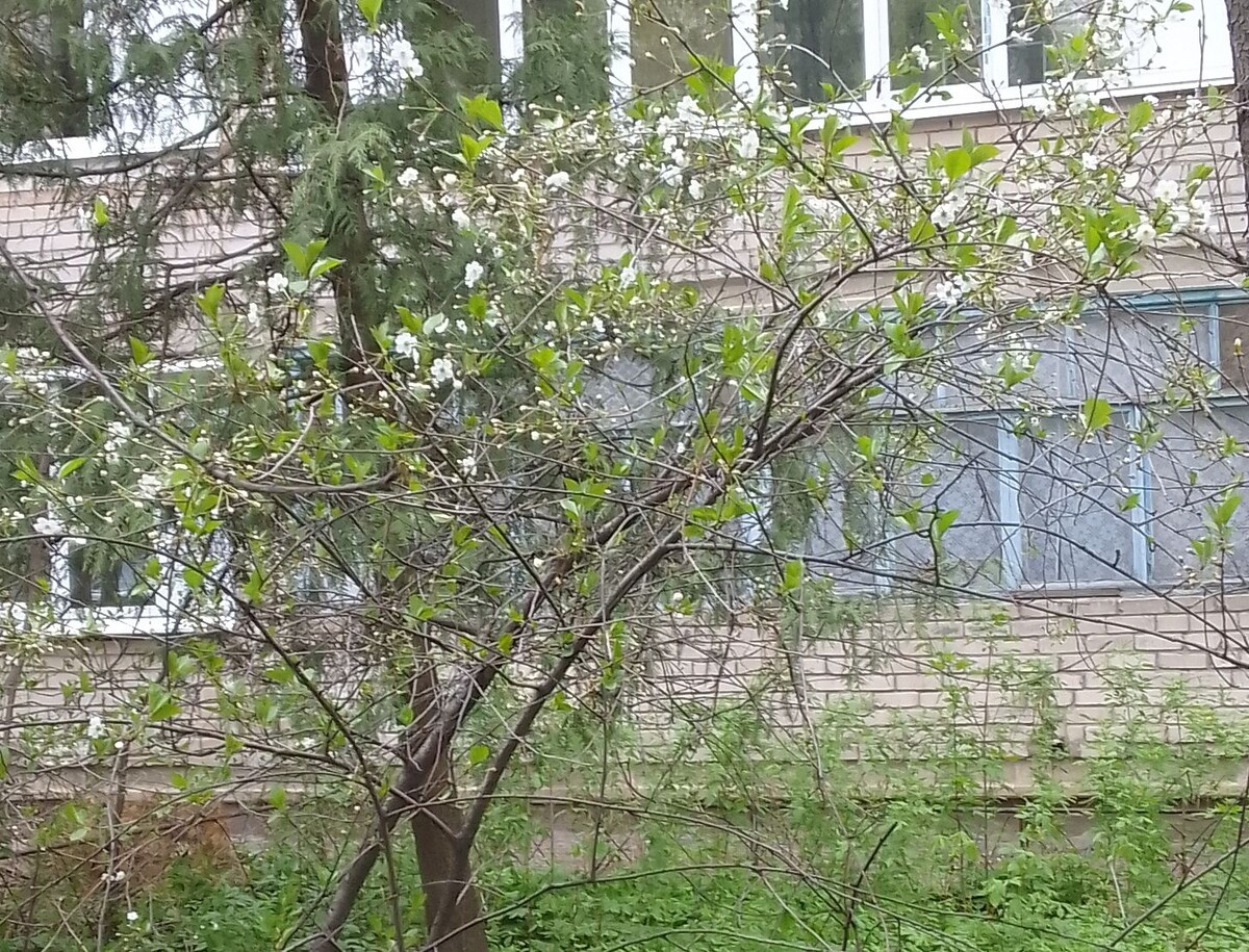 Фото автора 