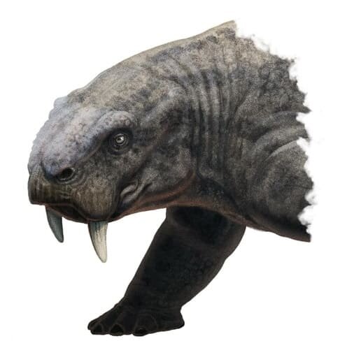 Шаньсиодон от Габриэля Угуэто.