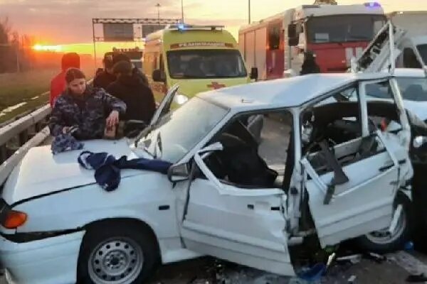    Фото: пресс-служба Росгвардии по Петербургу и Ленобласти