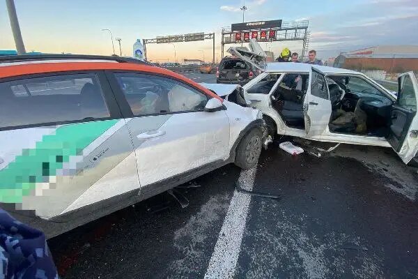    Фото: пресс-служба Росгвардии по Петербургу и Ленобласти