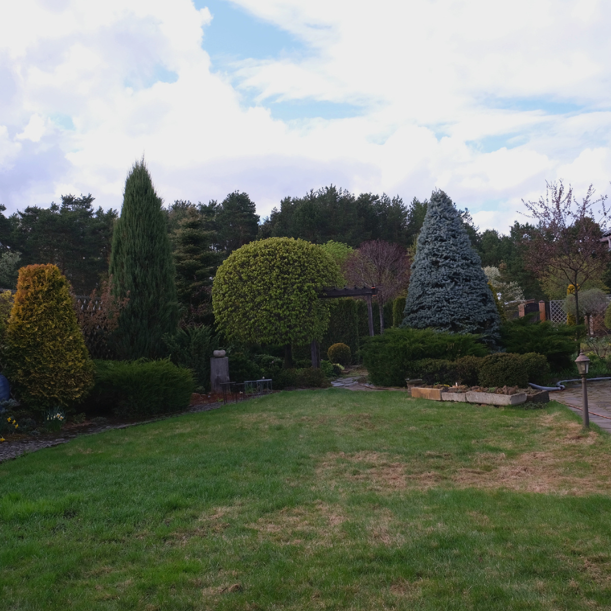 Общее фото сада