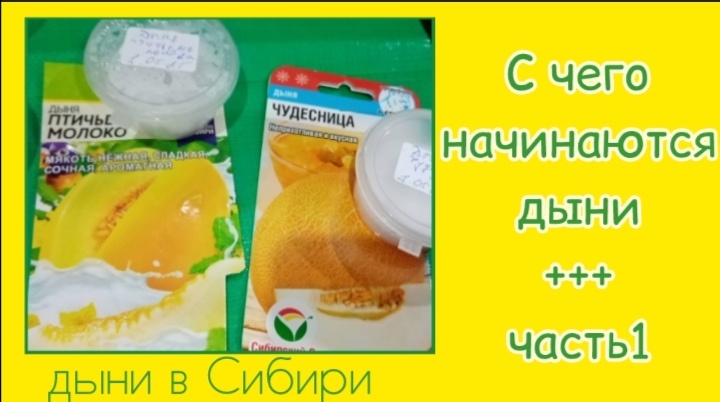 коллаж автора