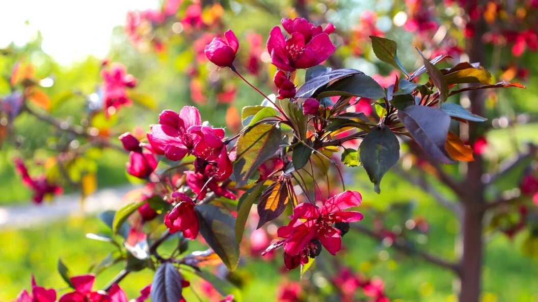    Фото: Elena Mayorova/Globallookpress