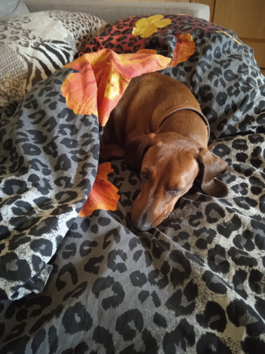 Не хочу вставать, на улице дождь