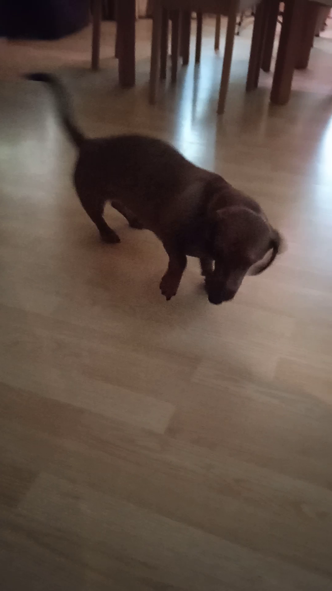 Здесь можно спрятаться от дождевика