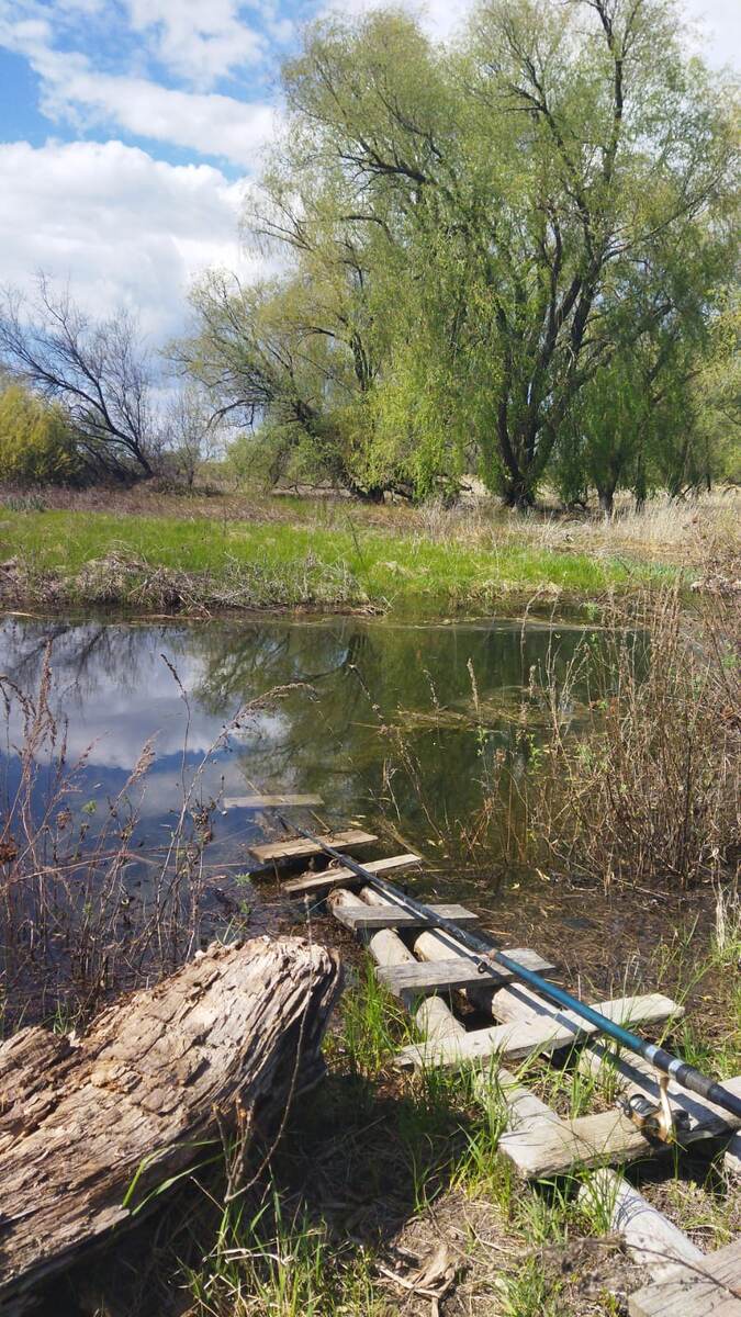 Личное фото