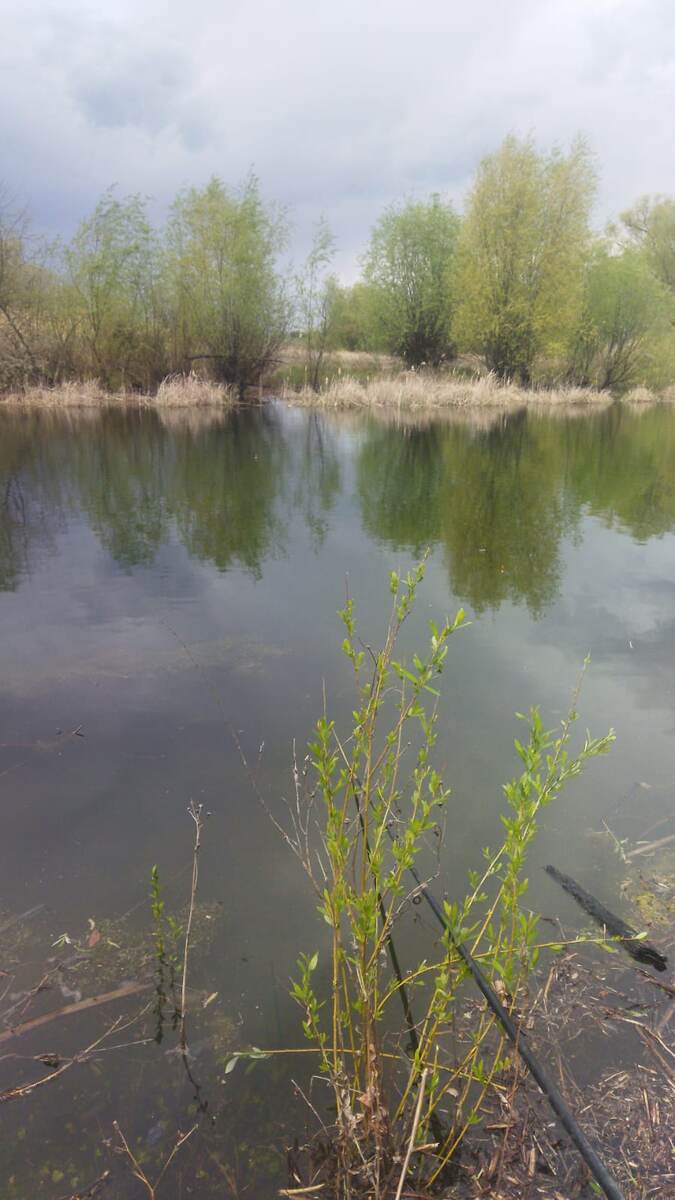 Личное фото