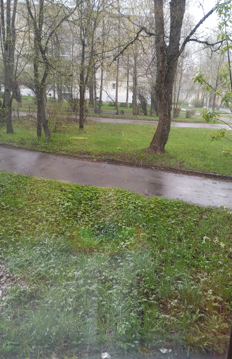 Фото автора. 