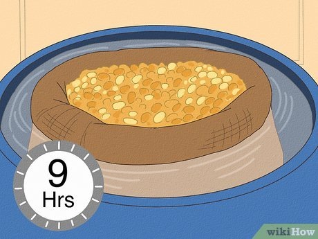 1Несколько раз промойте кукурузные зёрна в тёплой воде. Положите 10 фунтов (4,5 кг) необработанных кукурузных зёрен в мешочек из мешковины и поместите этот мешочек в ведро большего размера или контейнер. Затем пропитайте мешочек из мешковины тёплой водой. Убедитесь, что зёрна полностью и равномерно пропитались. Оставьте зёрна настаиваться в течение 9 часов, затем достаньте их из воды и поместите в хорошо проветриваемое место для просушки на 3 часа. Повторите этот процесс настаивания/отдыха ещё 3 раза.Зачем проращивать кукурузу для виски? Если коротко, то проращивание устраняет необходимость в добавлении сахара в сусло, позволяя получить более аутентичный виски. Проращивание, также называемое «соложением», заставляет ферменты в кукурузе превращать крахмал в сахар.[1] Затем эти сахара становятся строительными блоками для спирта в виски.
