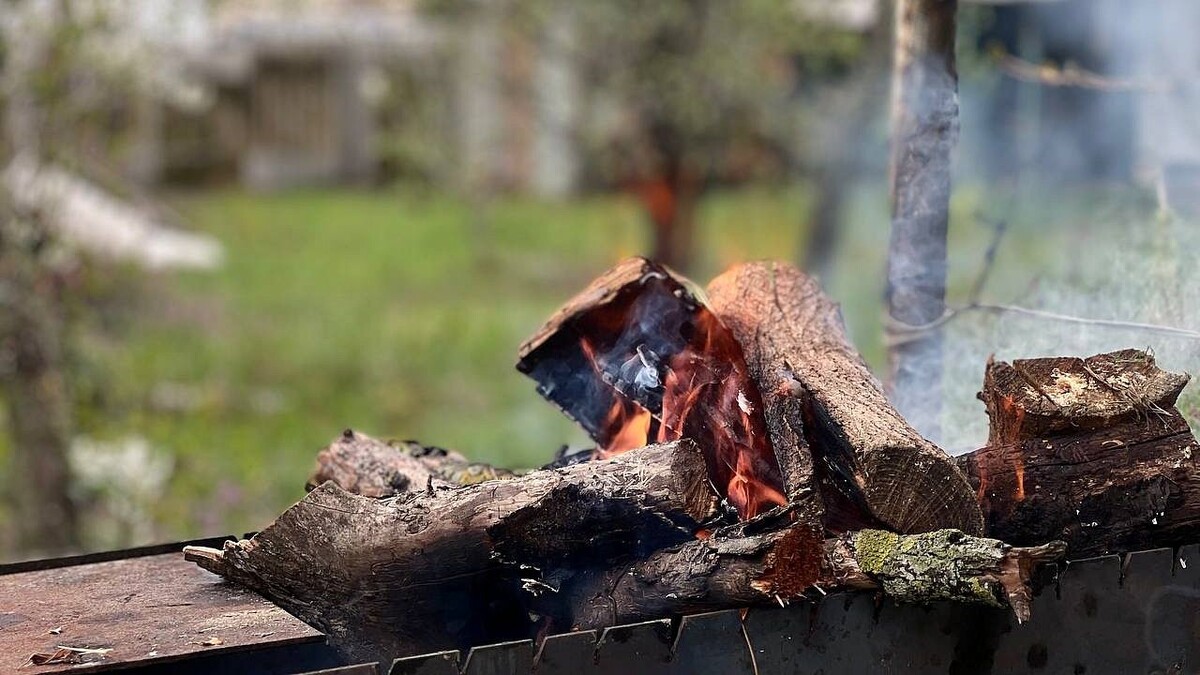    Фото: телеканал «Краснодар»