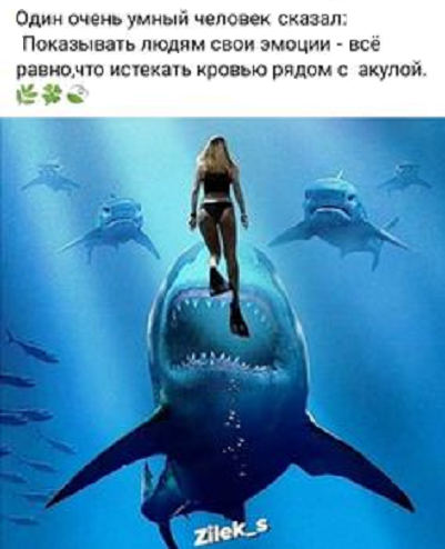 Источник изображения - Пинтерест