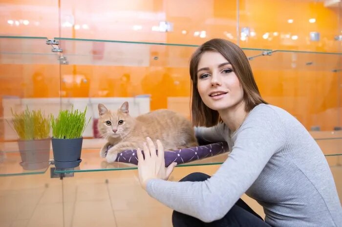 Семь лет назад Юлия Кочубарова открыла в Краснодаре первый котоотель. // Фото предоставлено собеседницей