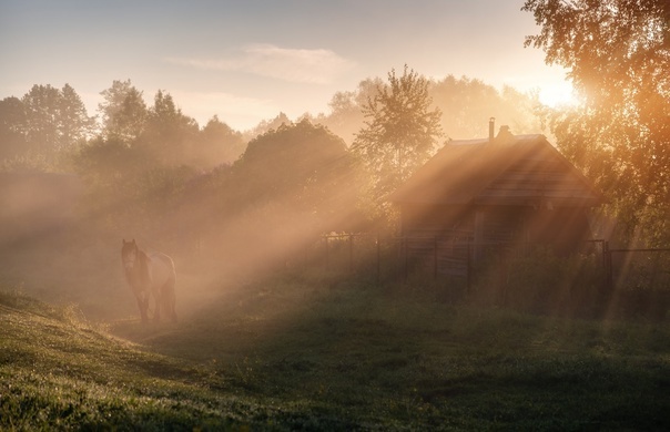 картинка из интернета