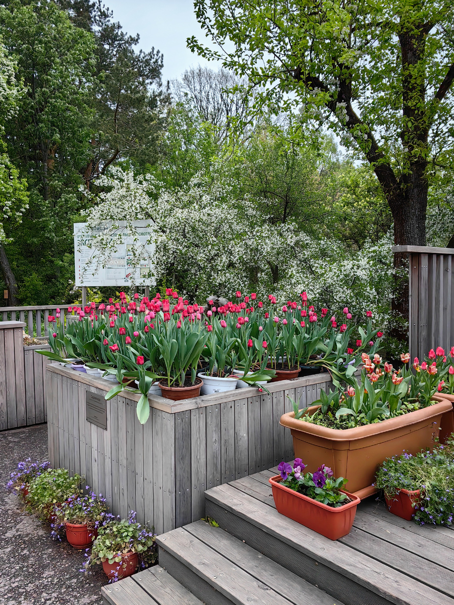 Центральный вход в ботанический сад МГУ "Воробьевы горы"