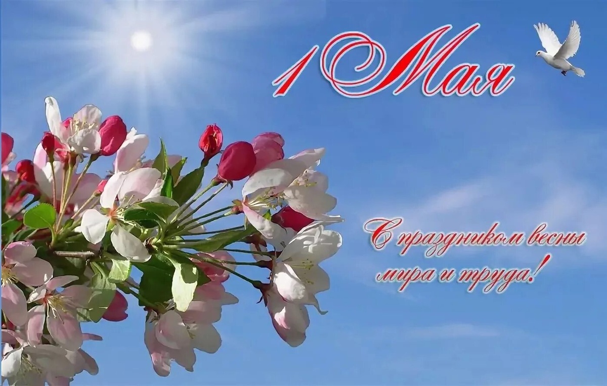 Яндекс картинки, взято отсюда zibkoe.ru