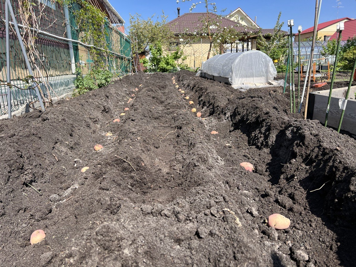 Фото автора канала Дом с кипарисами