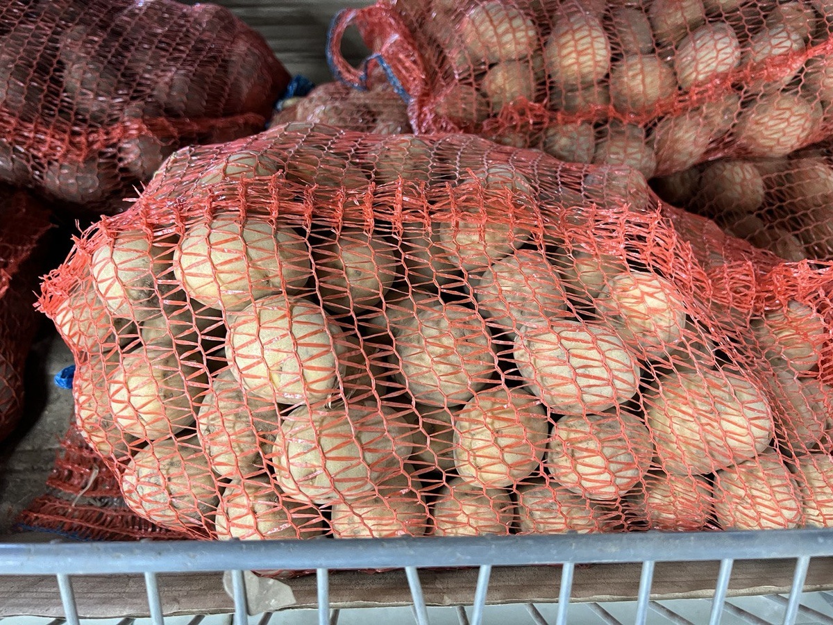 Фото автора канала Дом с кипарисами