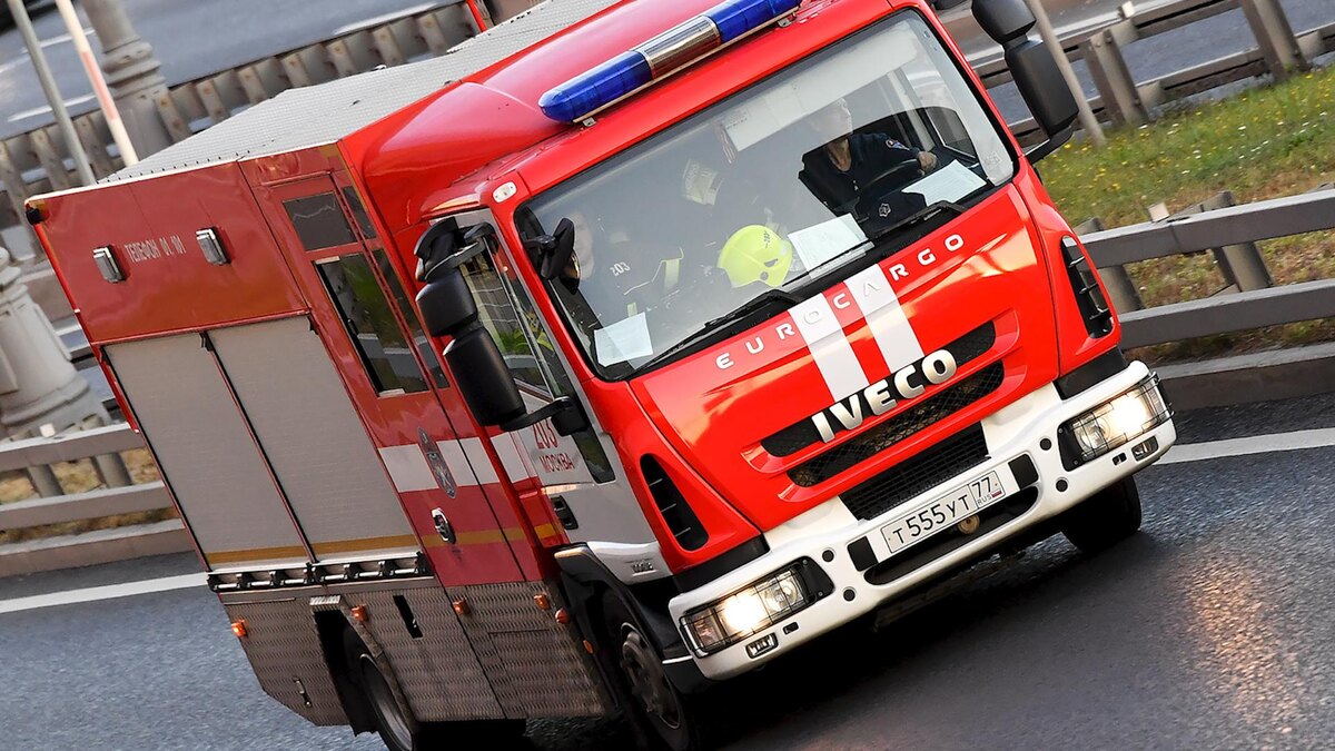    Фото: Vladimir Baranov/globallookpress.com