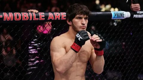 Фотография находится в общем доступе в разделе Яндекс.Картинки.