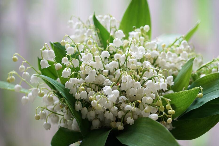    CHROMORANGE/Martina Raedlein/Global Look Press