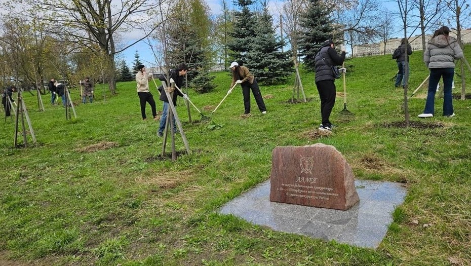    Субботник в парке "Куракина дача" Автор фото: t.me/procspb