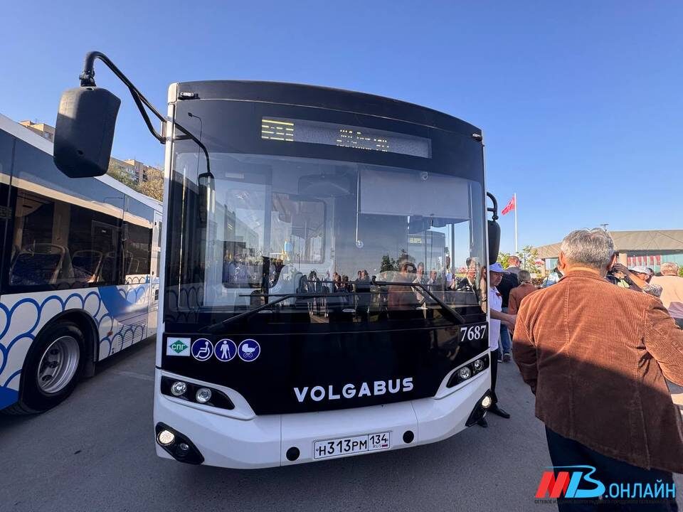    Фото: МТВ.ОНЛАЙН.