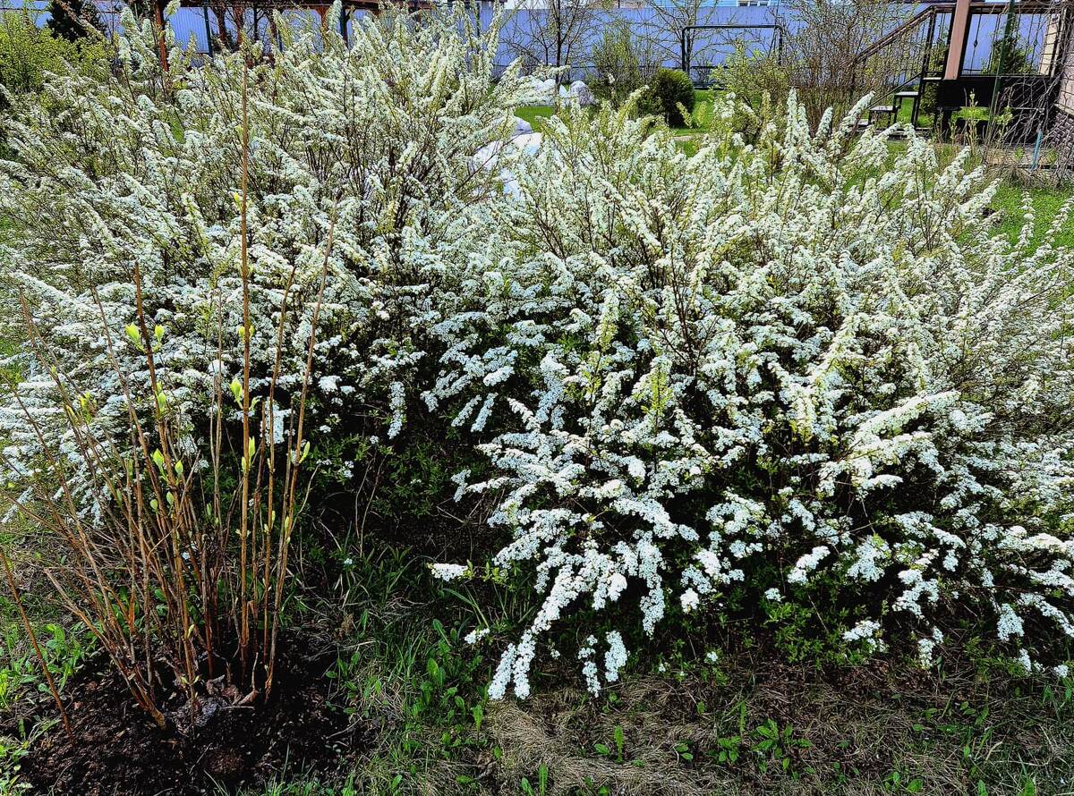 Пока еще нет заморозка….